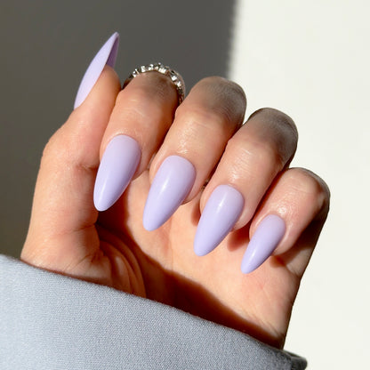Lavender Dreams